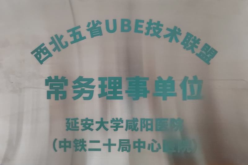 西北五省UBE技術聯盟常務理事單位