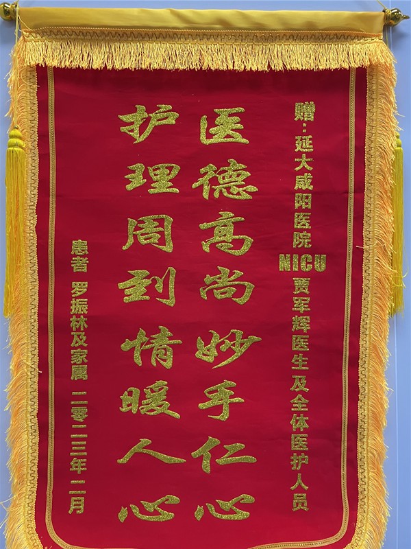 神經(jīng)重癥監(jiān)護NICU錦旗